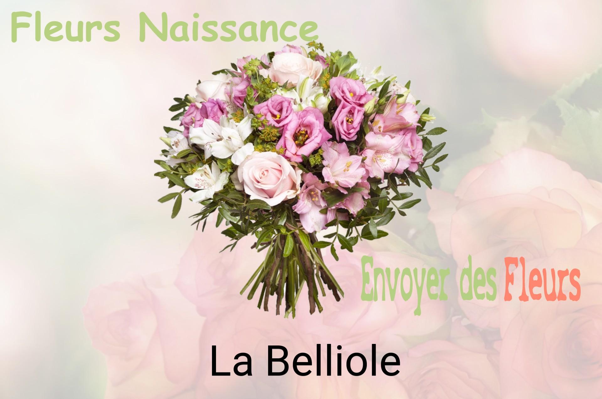 Bouquet de fleurs de naissance livré à La Belliole