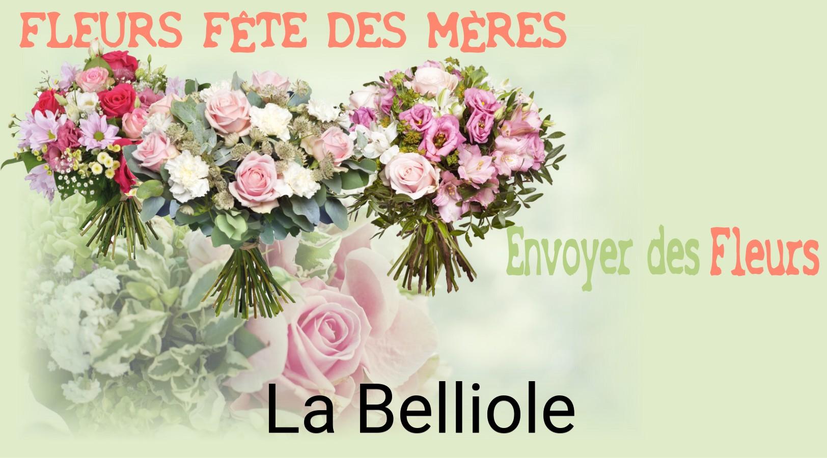 Bouquet de Fête des Mères livré à La Belliole